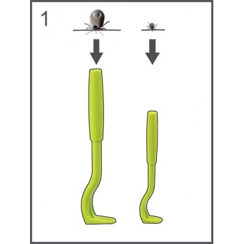 Tire tique 2 crochets maladie de Lyme H3D