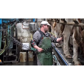 HAPO MS exosquelette ERGOSANTE posture à risque