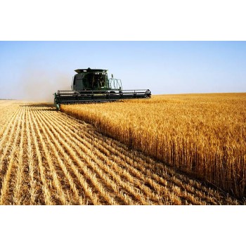 Balise Antivol autonome KHIKO sans abonnement MB