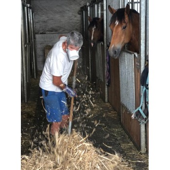 Homme écurie masque OCOV P1