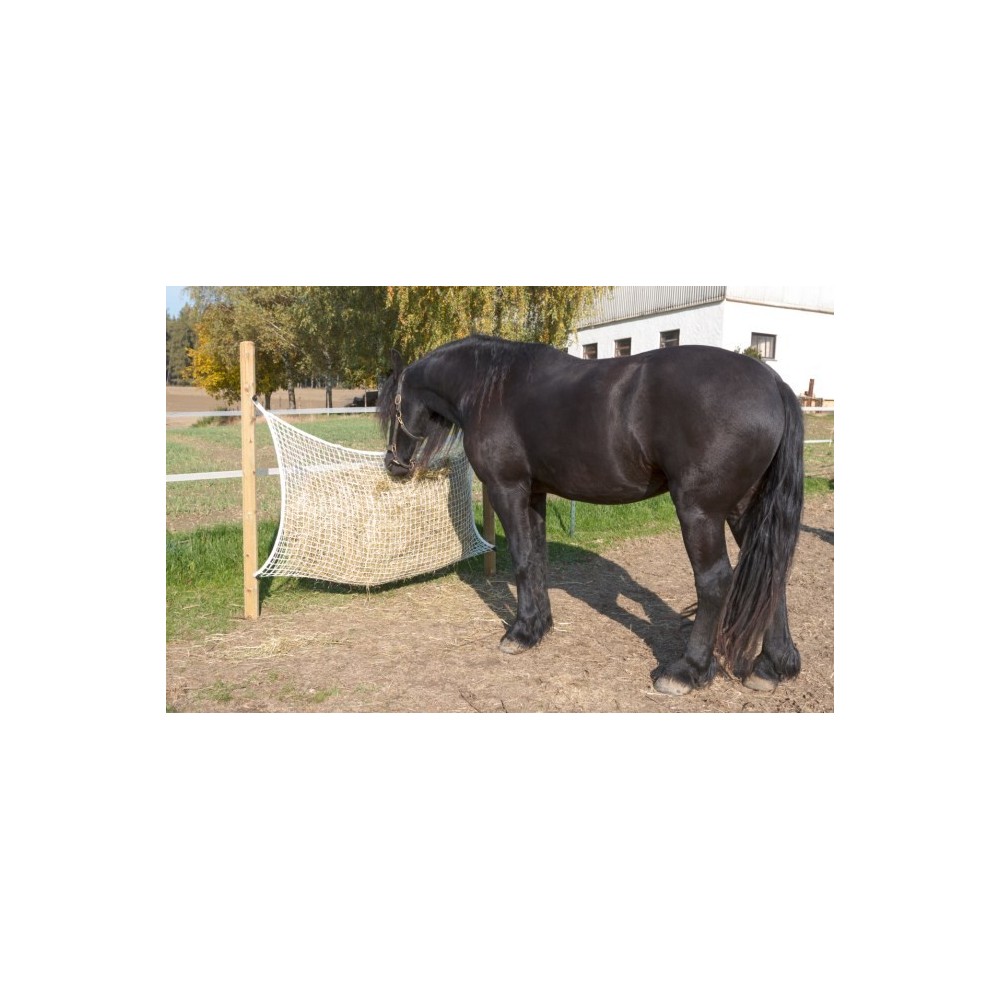 Filet à foin alimentation adaptée maille de 3 X 3 cm cheval