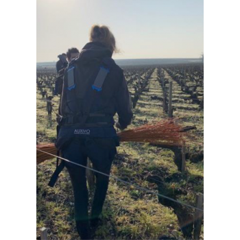 Exosquelette posture léger et confortable LiftSuit 2.0 taille de la vigne