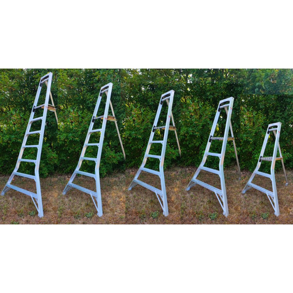 Echelle plateforme fruitière tripode arboriculture