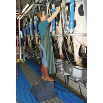 Marche pied mobile 2 marches milieu humide et élevage LA GEE à la traite