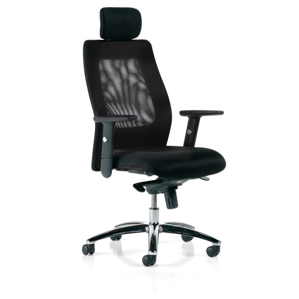 Fauteuil ergonomique de bureau 5 branches Fauteuil ergonomique de bureau 5 branches