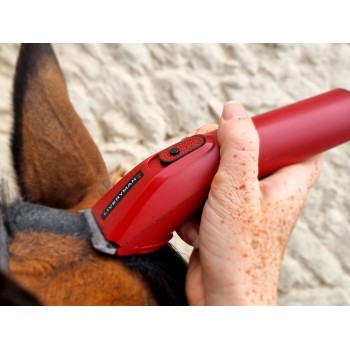 Tondeuse NOVA chevaux spécial finition oreille LIVERYMAN