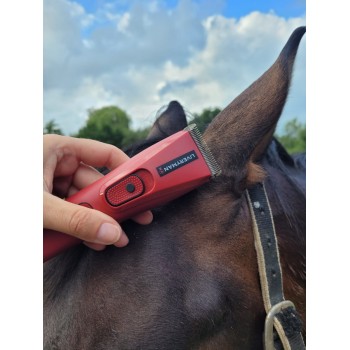 Tondeuse NOVA chevaux spécial finition oreille LIVERYMAN
