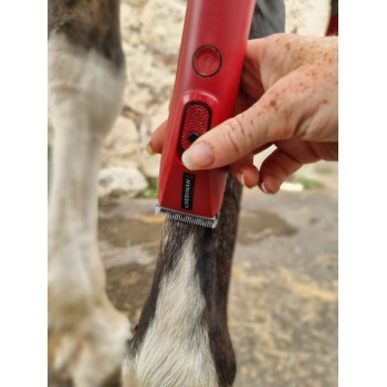 Tondeuse NOVA chevaux spécial finition patte LIVERYMAN