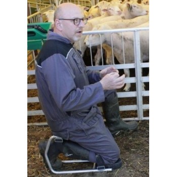 Homme utilisant le siège ergonomique élevage mouton