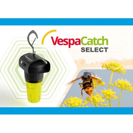 Nouveau Piège selectif Frelons VESPACATH select VETO PHARMA