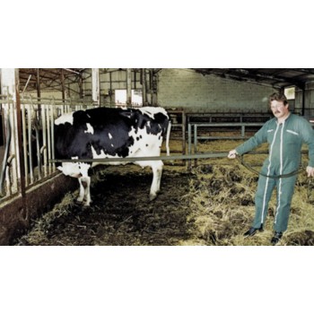 Sangle sécurité anti coup-de-pied SECURITEX l Sécurama