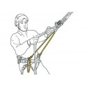 schema pont d'attache petzl sequoia