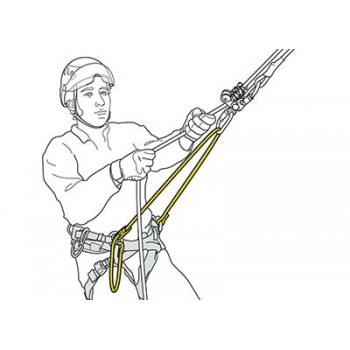 schema pont d'attache petzl sequoia