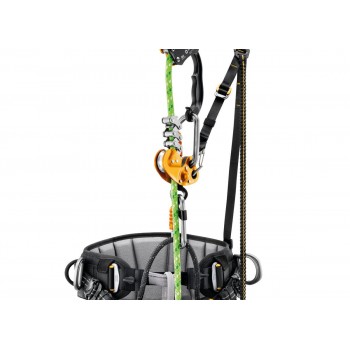 Harnais cuissard SEQUOIA SRT élagage PETZL I Sécurama